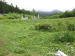 草刈り後
