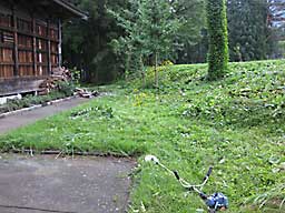 今日は、金属刃で草刈り
