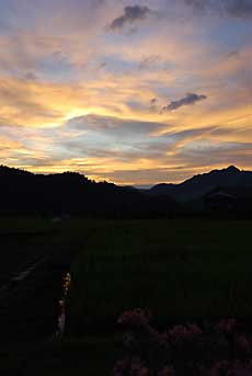 夕焼けのオレンジ色がきれいです