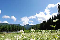 大源太山をバックに