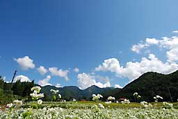 青空と雲がきれいです