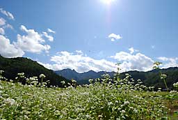 足拍子山をバックに