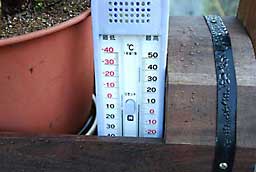 朝方は、気温が８℃