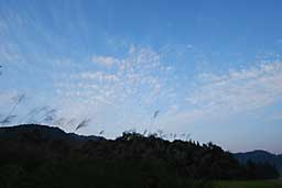 今朝の空