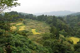 荒廃中の山間地の田んぼ