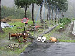 台風通過の準備