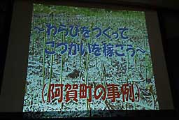 新潟県内の各地の取り組みの報告