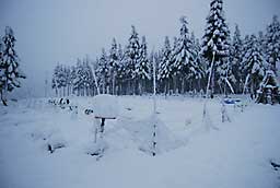 農園の畑は、雪に埋まってしまいました