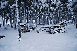杉林の休息所も雪に埋まってしまいました