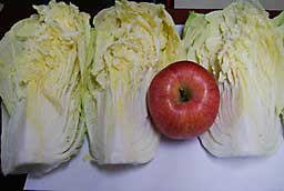 この最高のフジと、自家製の白菜でキムチをつくろう