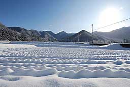 雪原