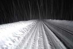 ノンフラッシュだと雪が雨のように見えます