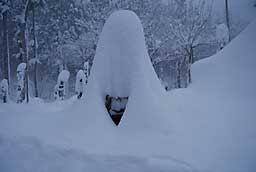 消防の消火栓です