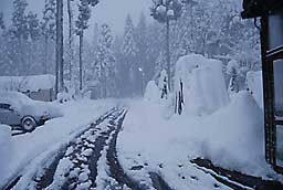 道路の消雪パイプも間に合わないくらい降っています