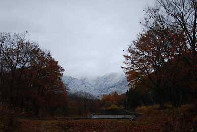 大源太山は、真っ白になりました。