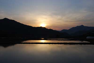 夕日、きれいです
