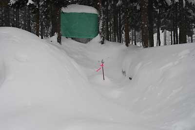 雪室の保管庫も埋まりました。