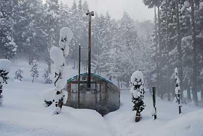 昨日から３０ｃｍくらい雪が降りました。