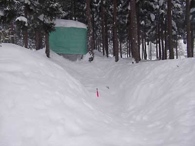 今日の雪室は、こんな感じです。