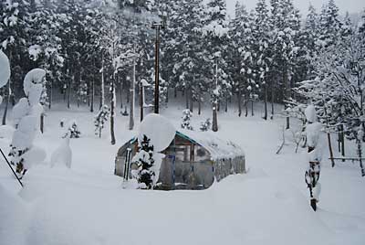 ハウスもそろそろ回りの雪の除雪をしなければなりません。