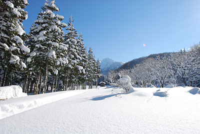 大源太山も今日は顔を見せてくれました。