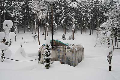 また、今朝は雪になってしまいました。