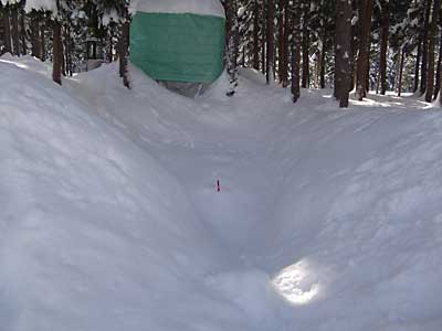 昨日の雪室の様子です。