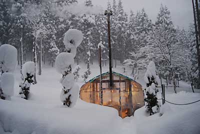 朝からしんしんと雪が降っています。