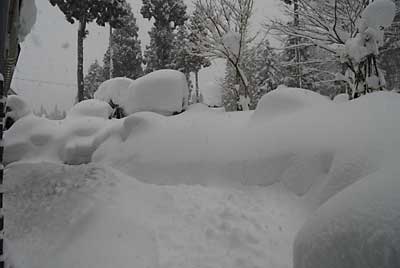 池は、屋根の雪が落ちて完全に埋まってしまいました。