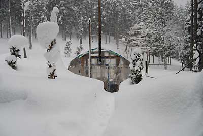 ハウスの屋根の雪は、ストーブ効果で大丈夫です。