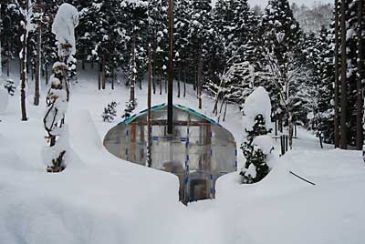 大雪も一段落してくれました。