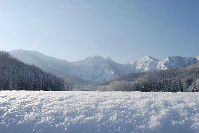 新雪が朝日に輝いてきれいでした。