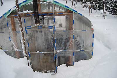 回りは今日、除雪しようと思っています。