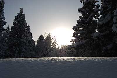 太陽がうれしいです♪