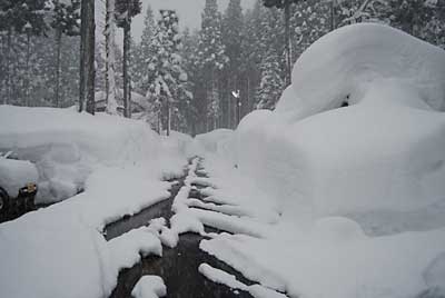 昨日雪を片付けましたので、多少降っても大丈夫です。