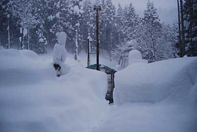雪でハウスがもうすぐ見えなくなりそうです。