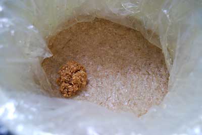 １２月９日に仕込んだ手前味噌の天地返しをしました。