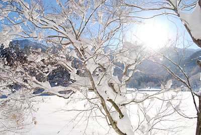 雪花