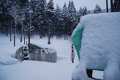 朝まで１０ｃｍほど新雪が降りました。