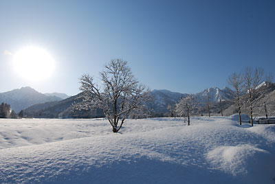 夜、うっすら雪が降ったので、雪景色がきれいです。