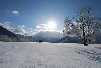 朝日を浴びた雪景色がきれいです。
