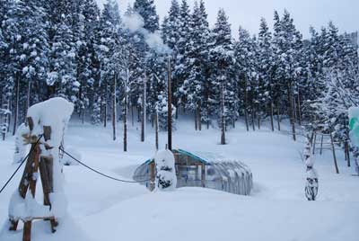 ハウスも薪ストーブのおかげで、この大雪を乗りきれました。