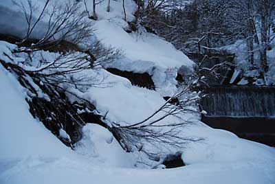 清水は、左の雑木が見えているところに出ています。