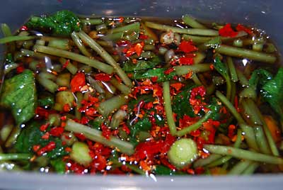 昆布つゆ３培濃縮を若干薄めたものを使って漬けます。