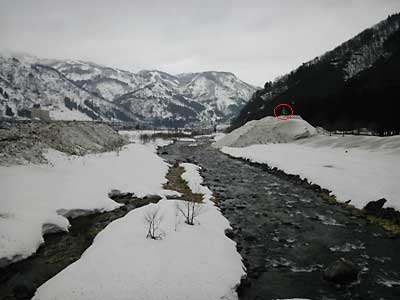 魚野川の両脇の排雪場にが大量の雪が集まっています。