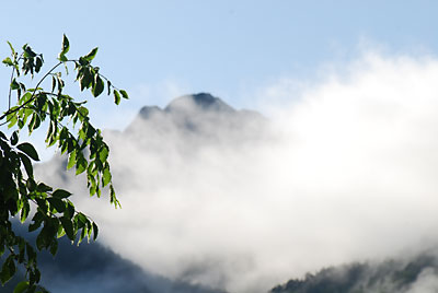 新緑と大源太山