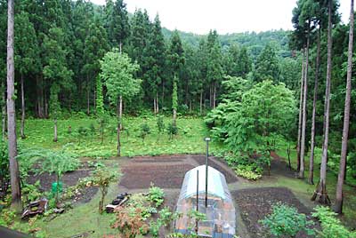 草刈り前です。