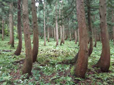 ケガもなく、無事終了しました。