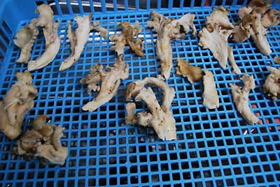 こんなに一度に食べられないので、乾燥機にかけました。