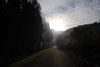 朝日がまぶしかったです。